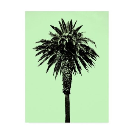 Trademark Fine Art Erik Asla 'Palm Tree 1996 (Green)' Canvas Art, 24x32 IC00254-C2432GG